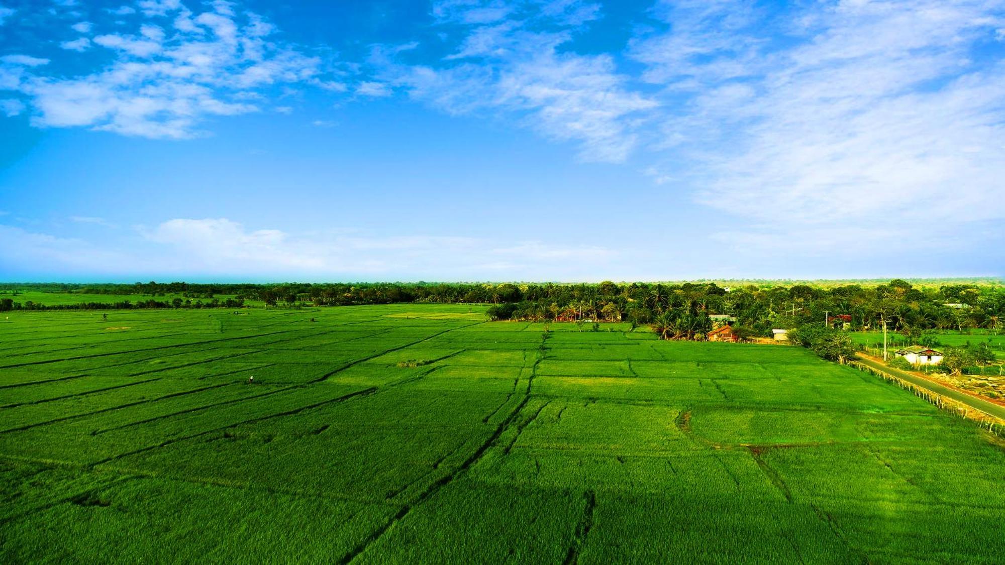 Avonil Resort Yala Tissamaharama Εξωτερικό φωτογραφία
